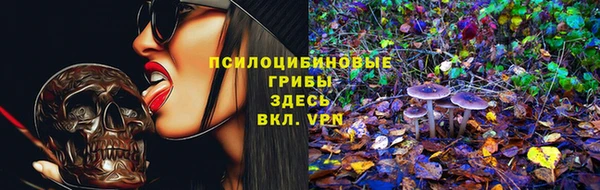 a pvp Арсеньев