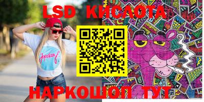 шишки Боровичи