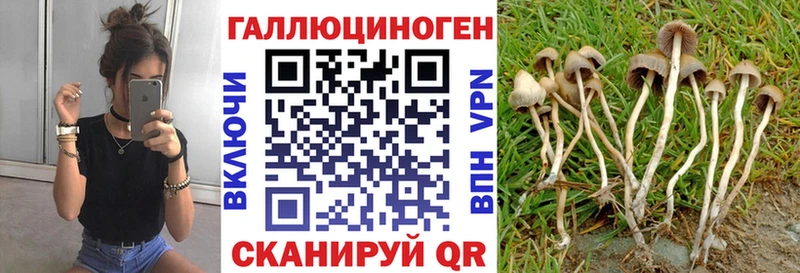 наркошоп  Курган  Псилоцибиновые грибы мицелий 