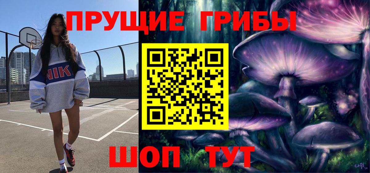 Курган  Псилоцибиновые грибы GOLDEN TEACHER  Вход с VPN 