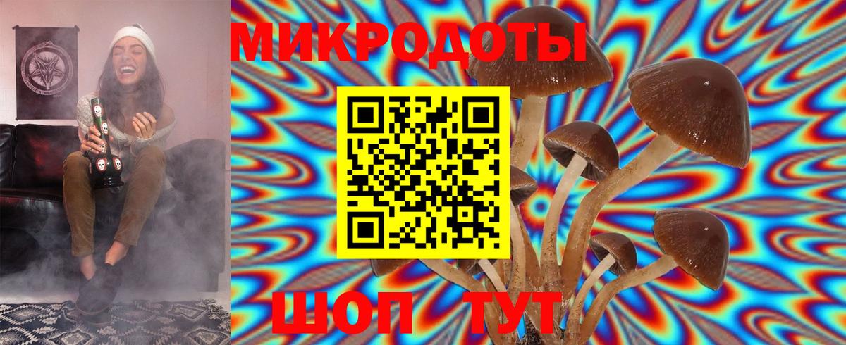 Галлюциногенные грибы ЛСД Курган